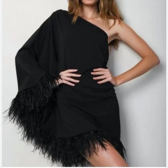 Hutch One Shoulder Faux Feather Mini Dress in Black Size M - Picture 1 of 5